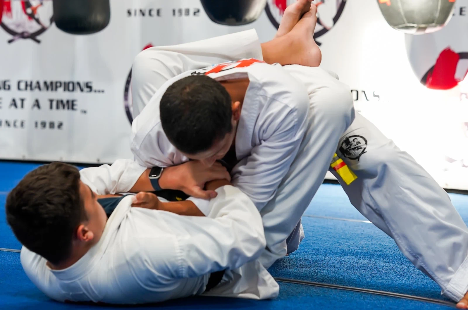 Taekwondo training at Haritos Martial Arts