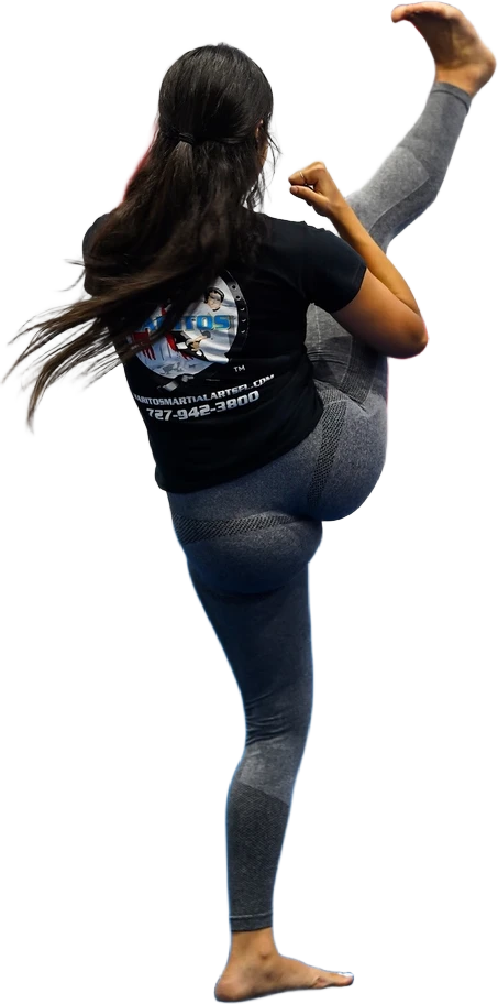 Adult Taekwondo (14+) class
